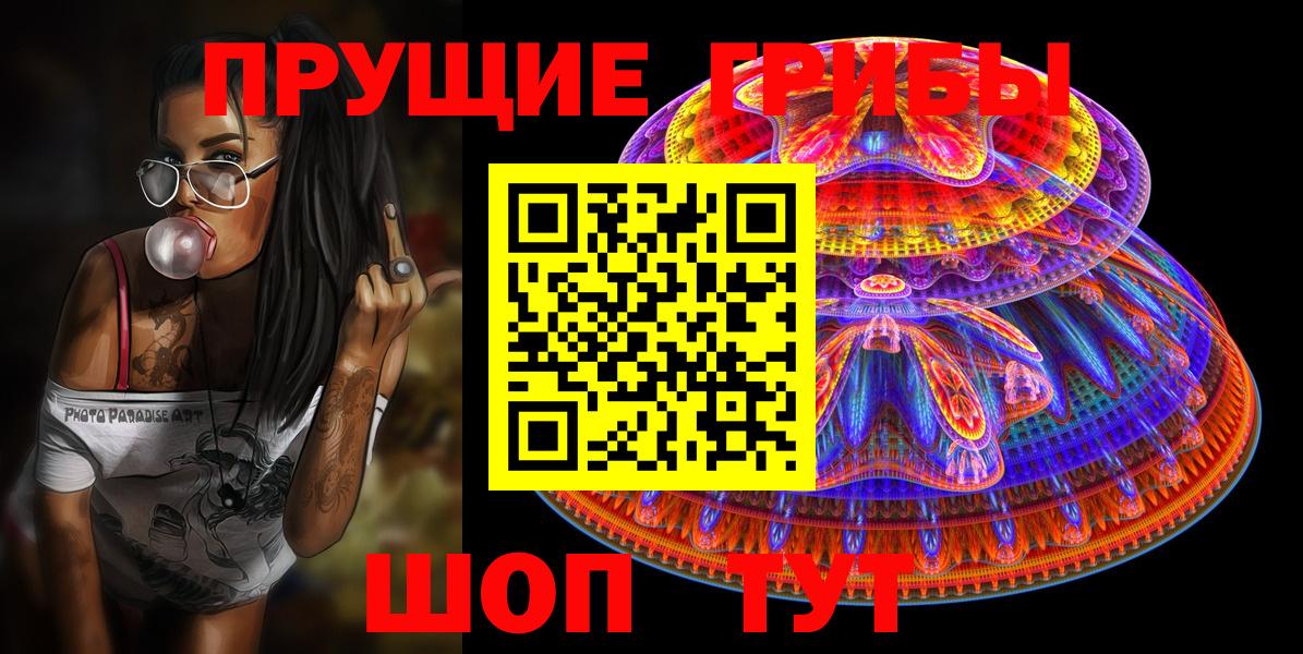 Галлюциногенные грибы Psilocybine cubensis Уссурийск