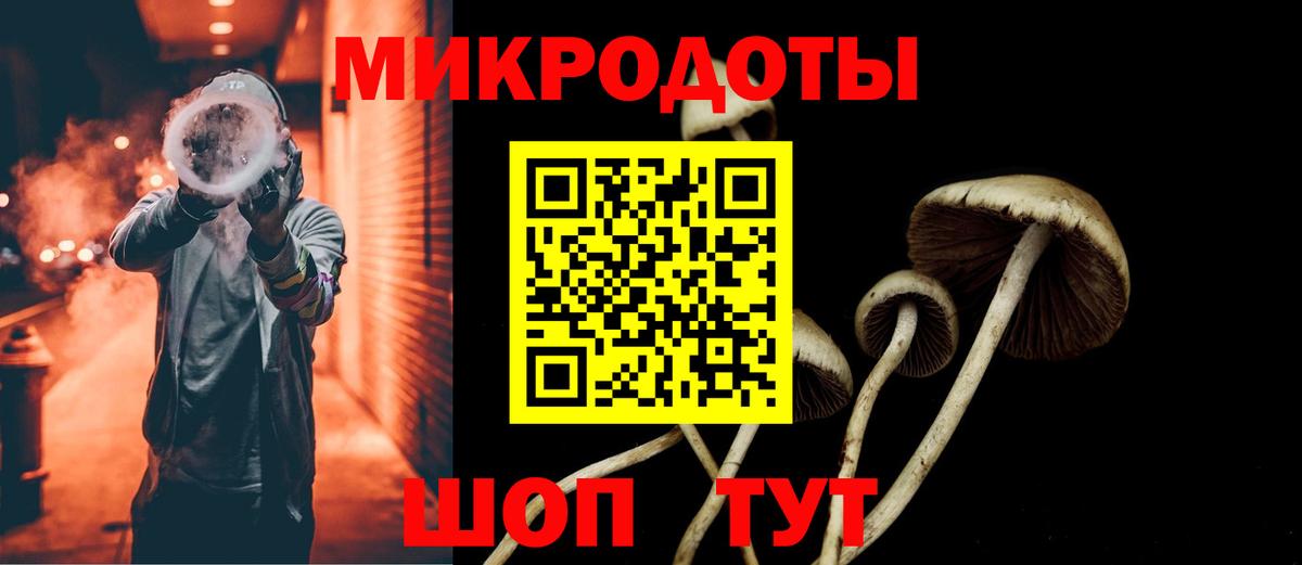 Галлюциногенные грибы Cubensis  Вход с VPN  Уссурийск 